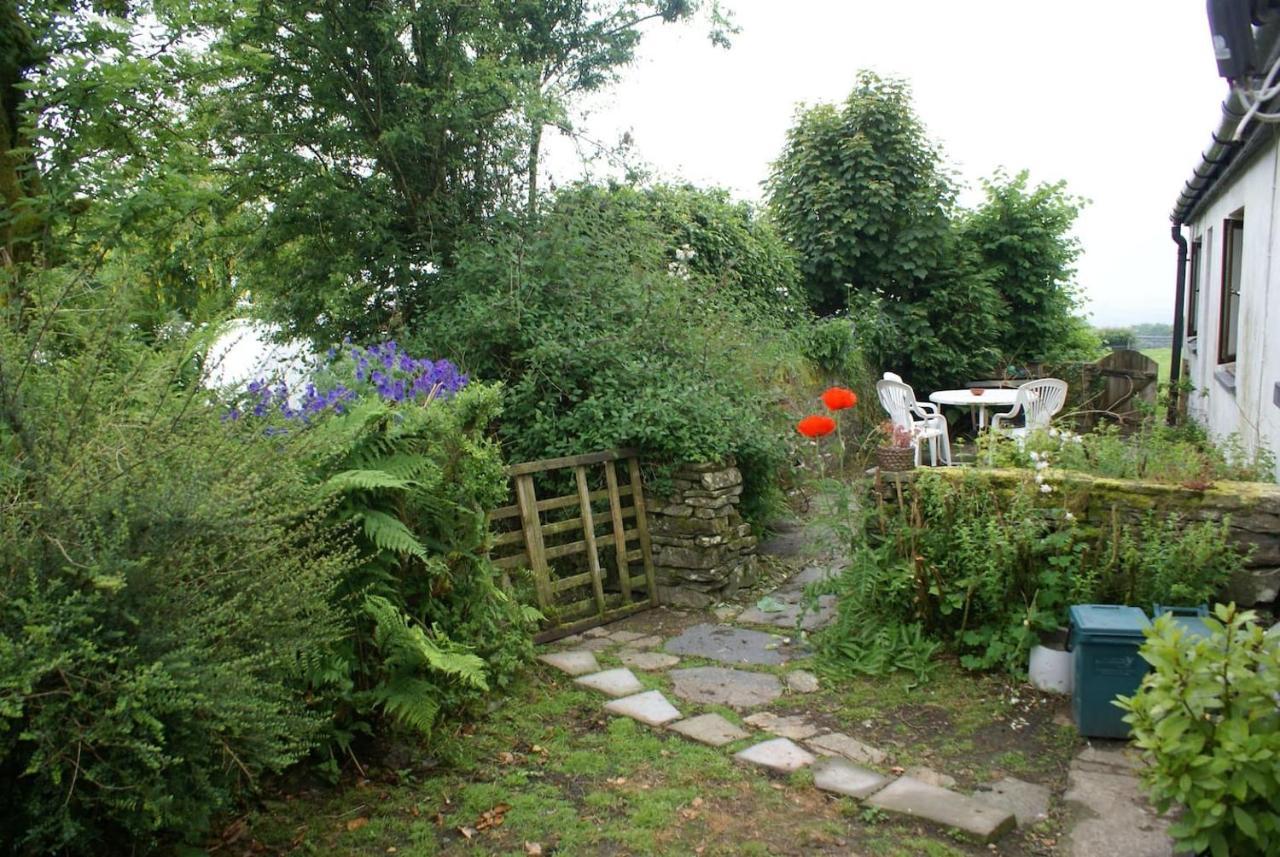 Inviting 2-Bed Cottage In Newcastle Emlyn Luaran gambar