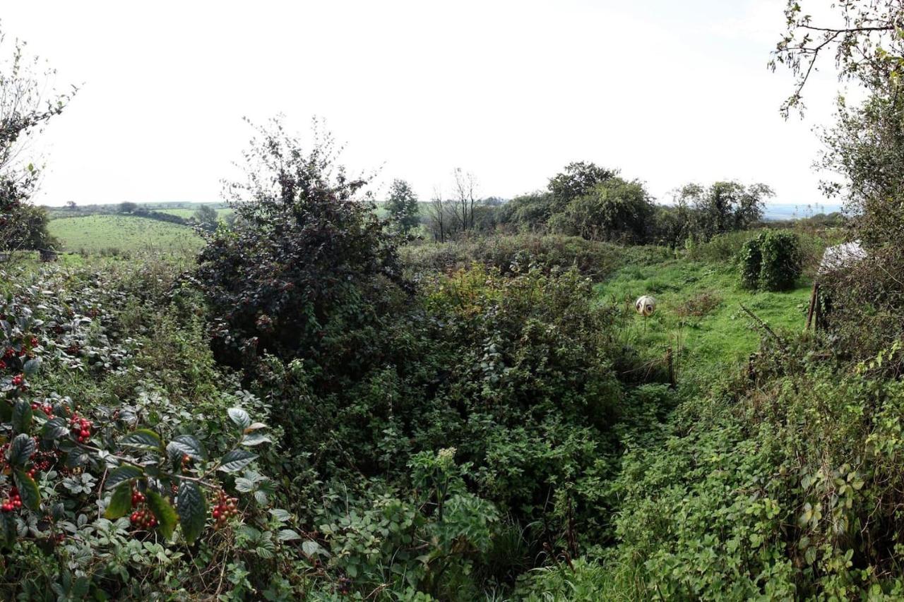 Inviting 2-Bed Cottage In Newcastle Emlyn Luaran gambar